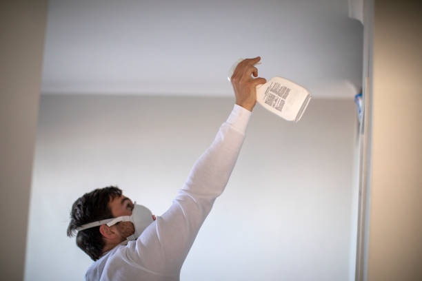 Best Mold Testing and Inspection Services in Paterson, NJ