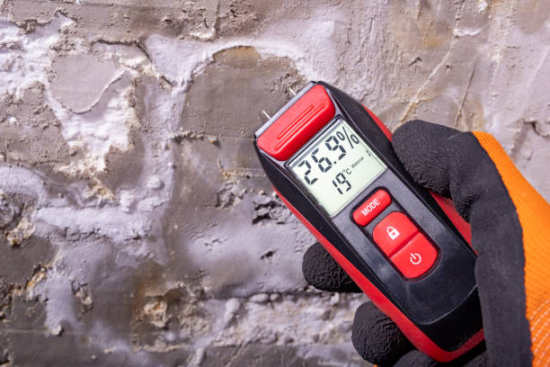Best Industrial Mold Remediation in Paterson, NJ