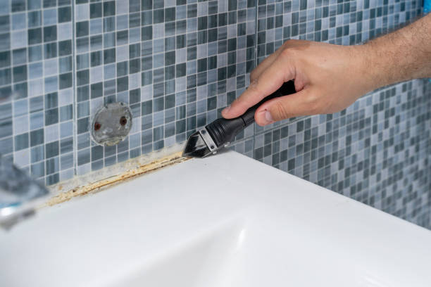 Best White Mold Remediation in Paterson, NJ