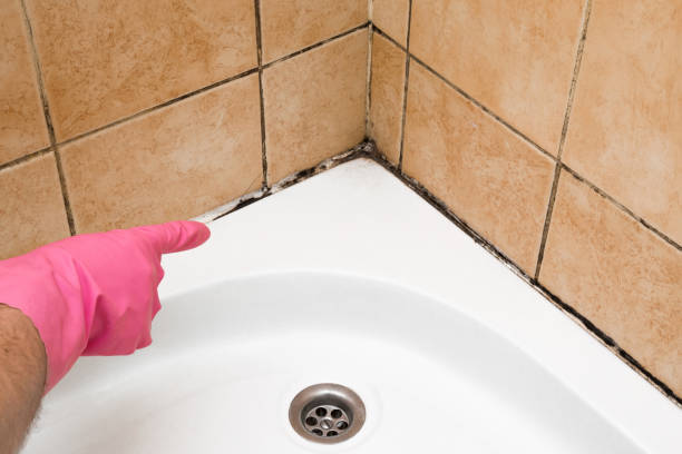 Best Bathroom Mold Remediation in Paterson, NJ